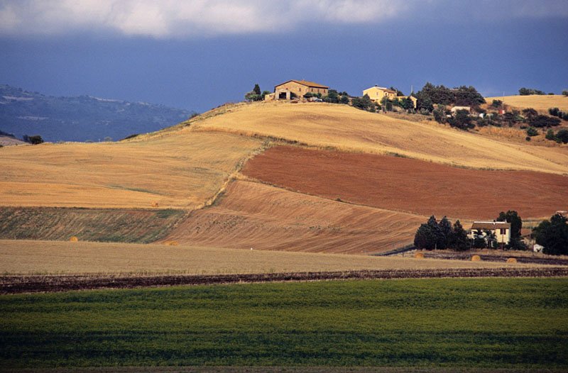 Agricoltura, su riduzione impatti ambientali uno studio dell’Università valuta gli effetti  
						 – www.toscana-notizie.it