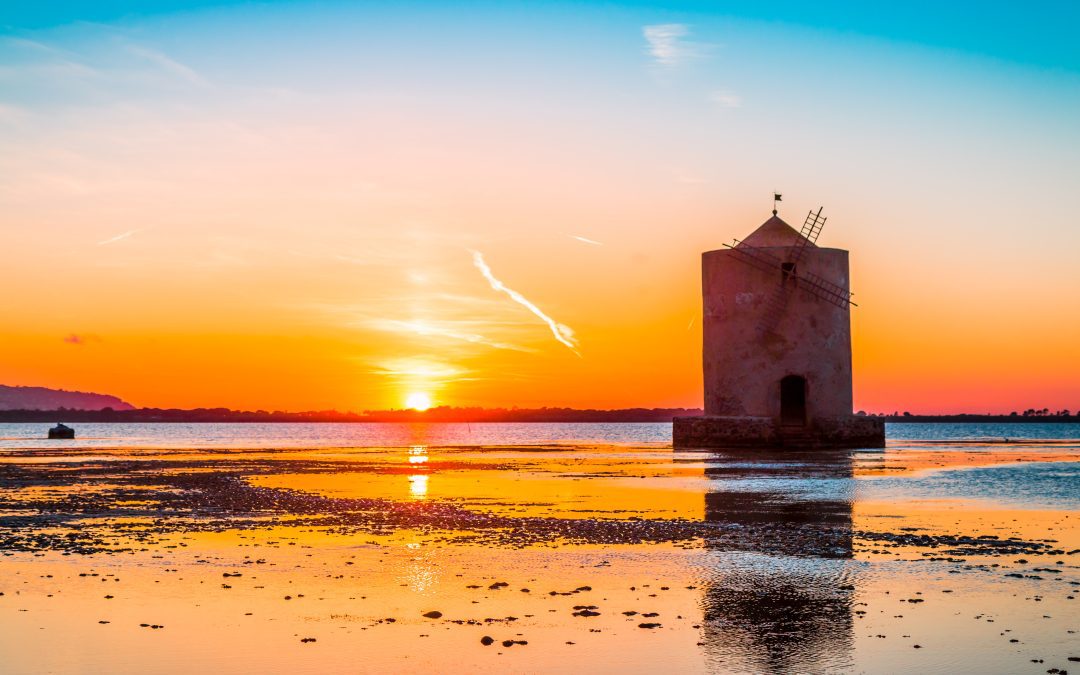 Turismo estivo 2024: crescita più lenta e stime positive per stranieri e città d’arte 
						 – www.toscana-notizie.it