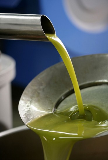 Stati generali dell’olio, Siena per tre giorni capitale dell’ “oro verde” 
						 – www.toscana-notizie.it