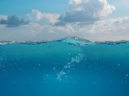 Concorso “MAREMOVIE” – Pubblicati gli elenchi delle scuole ammesse alla terza fase del Concorso – www.regione.campania.it