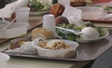 Igiene degli alimenti, nuovi indirizzi per la formazione del personale 
						 – www.toscana-notizie.it