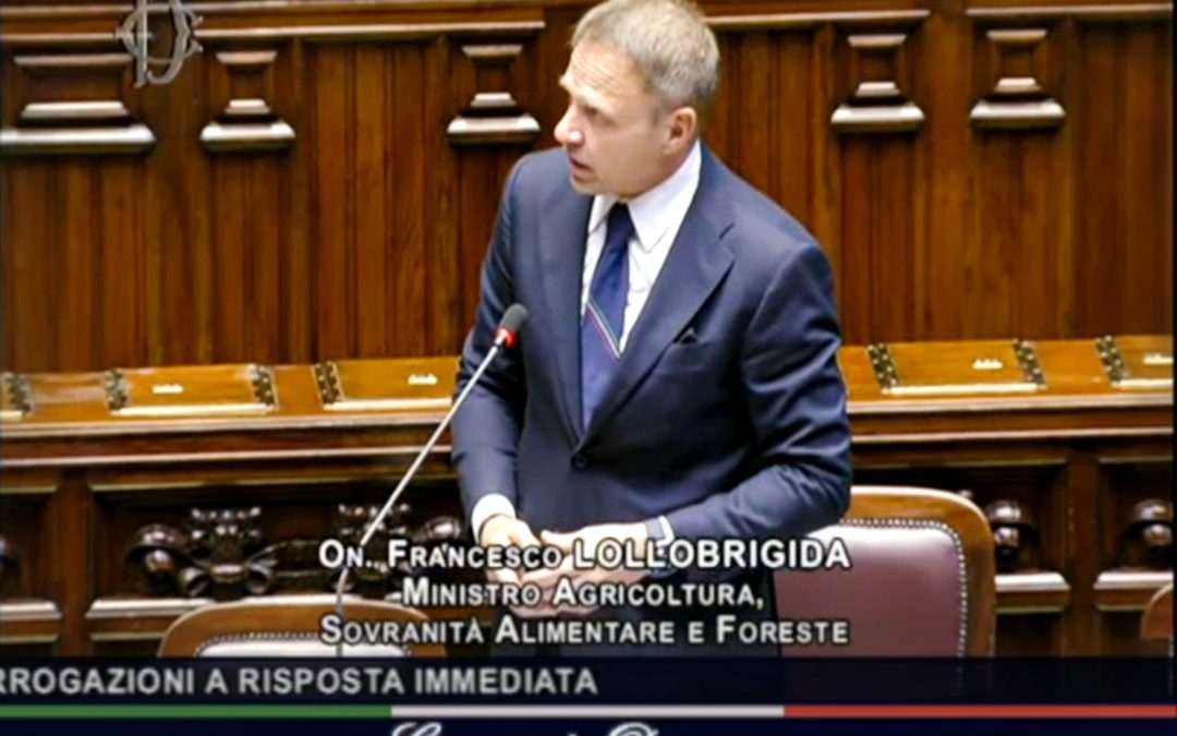 Question time alla Camera dei Deputati del ministro Lollobrigida – www.politicheagricole.it