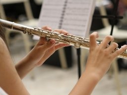 Ricognizione per individuare un Maestro quale componente commissione valutazione per l’orchestra dei… – www.regione.campania.it