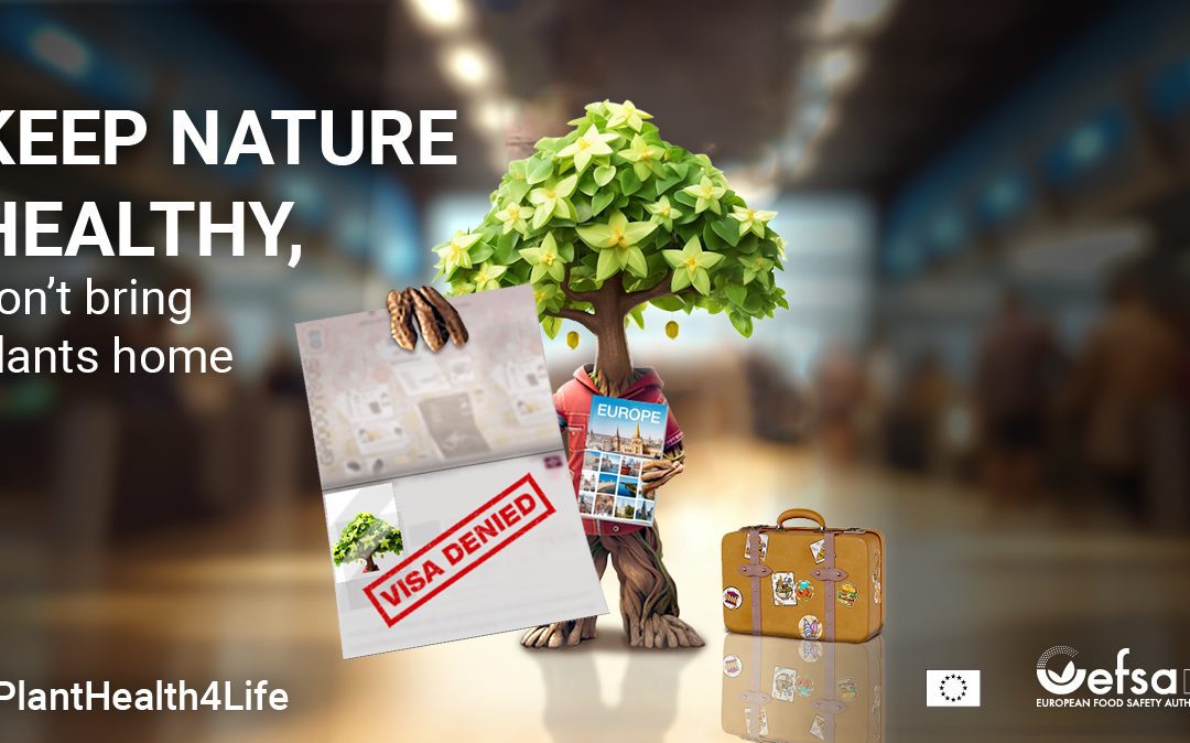 Torna la campagna #PlantHealth4Life: maggiore e migliore! L’Europa fa fronte comune per sostenere la salute delle piante, la biodiversità e l’economia – www.efsa.europa.eu