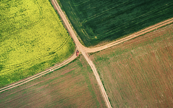 Agricoltura. Lollobrigida: Banca nazionale delle Terre Agricole ISMEA, grande opportunità – www.politicheagricole.it