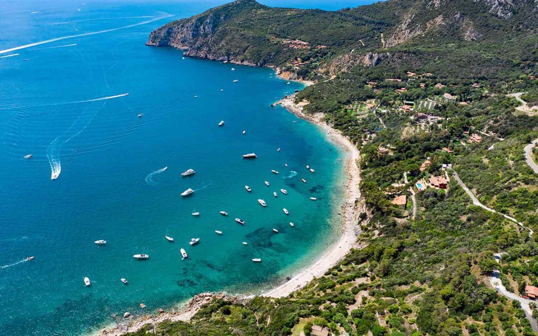 Treno+bus, dal 29 giugno parte il servizio Argentario Link 
						 – www.toscana-notizie.it