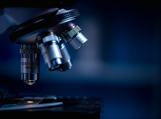 Newsletter 06/06/2024 – Ricerca scientifica: le Faq del Garante Privacy… – www.gpdp.it