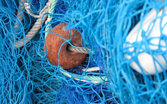 Pesca. Firmato il decreto sul Fermo obbligatorio 2024. Lollobrigida: passo in avanti per il settore – www.politicheagricole.it