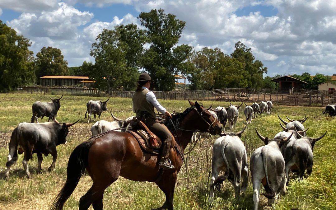 Benessere animale, bando da 3 milioni per allevatori toscani che vogliono alzare gli standard 
						 – www.toscana-notizie.it