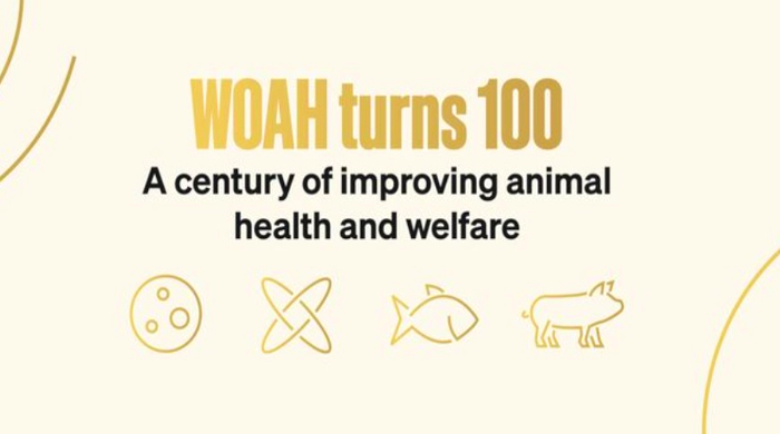 91° Sessione generale dell’Organizzazione Mondiale per la Sanità Animale (WOAH) – www.salute.gov.it