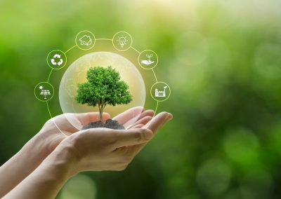 Maione nuovo vicepresidente rete internazionale regioni su clima – www.lombardianotizie.online