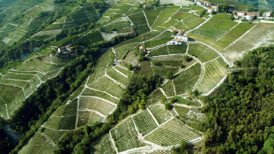 I 10 anni dei paesaggi vitivinicoli Unesco del Piemonte
 – www.regione.piemonte.it