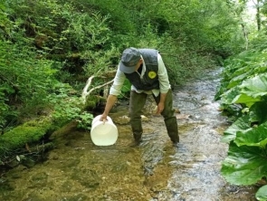 Assessorato all’Agricoltura e alla Pesca Regione Umbria: proseguono semine di trote mediterranee per tutela popolazioni ittiche autoctone. Morroni: “esempio virtuoso di collaborazione” – www.regione.umbria.it
