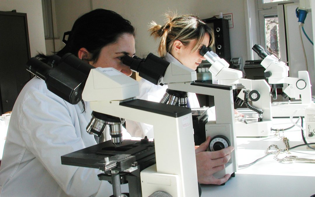 Istituiti i dipartimenti interaziendali della medicina di laboratorio 
						 – www.toscana-notizie.it