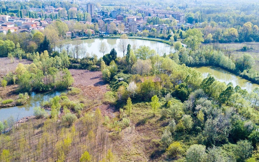 Da Regione 260.000 euro per vasche Seveso, Meda e Cesano Maderno – www.lombardianotizie.online