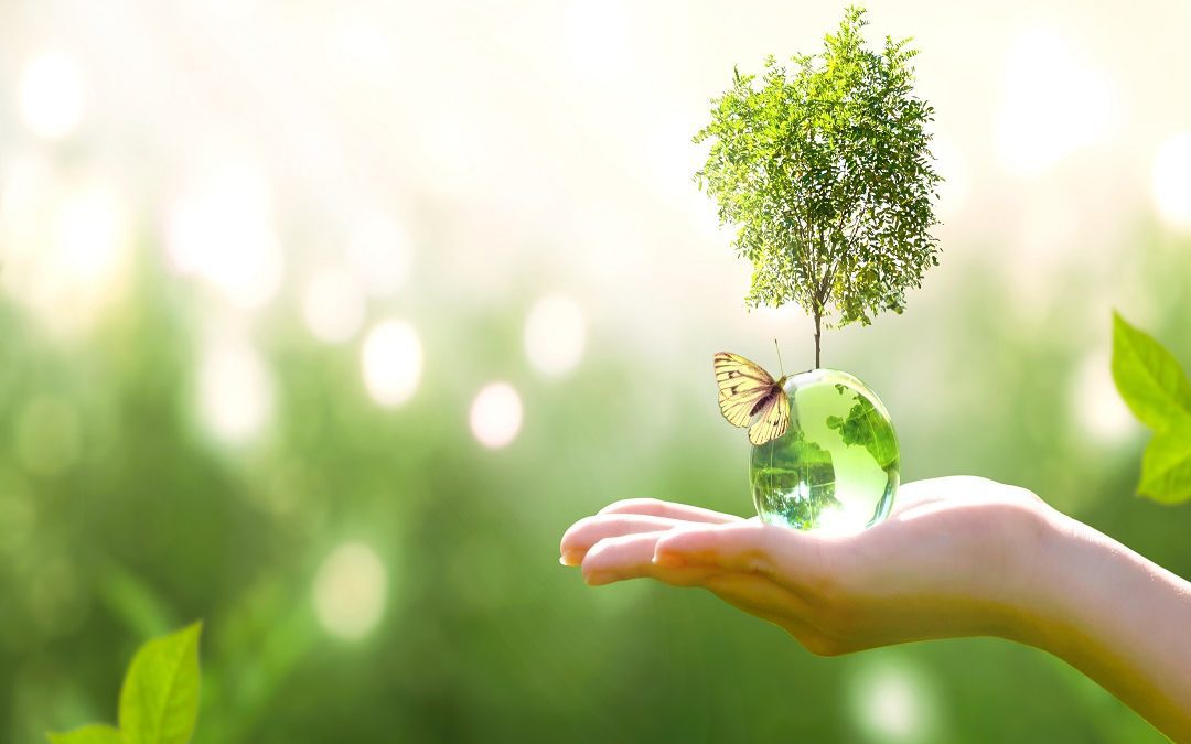 Ambiente, 300.000 all”Hub della Conoscenza’ per sviluppo sostenibile – www.lombardianotizie.online