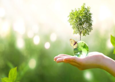 Ambiente, 300.000 all”Hub della Conoscenza’ per sviluppo sostenibile – www.lombardianotizie.online