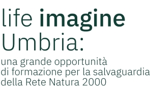 Nascono i percorsi formativi online gratuiti per potenziare le competenze degli operatori ambientali. La presentazione al Salone d’Onore di Palazzo Donini il 3 settembre, ore 15,30 – www.regione.umbria.it