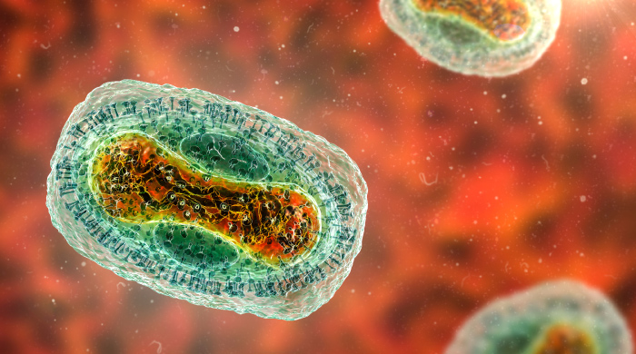 rafforzamento rete di sorveglianza diagnostica su tutto il territorio nazionale – www.salute.gov.it