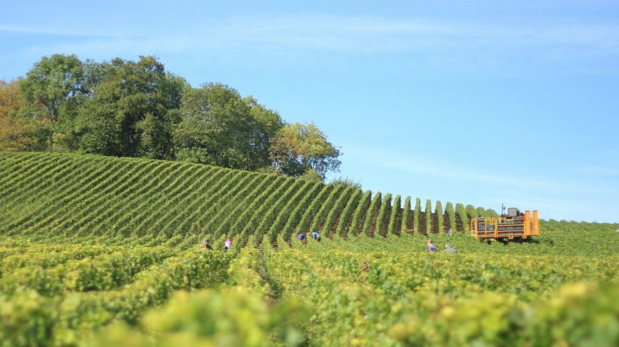 Finanziato lo sviluppo delle valli Maira, Grana, Lanzo e Bormida
 – www.regione.piemonte.it