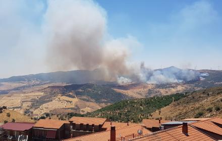 Incendi, Savarino: «Verificheremo possibilità di collaborazione con il Cufaa»