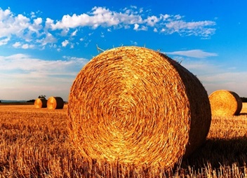 Regione Umbria approva importante misura di semplificazione amministrativa nel settore agricolo – www.regione.umbria.it