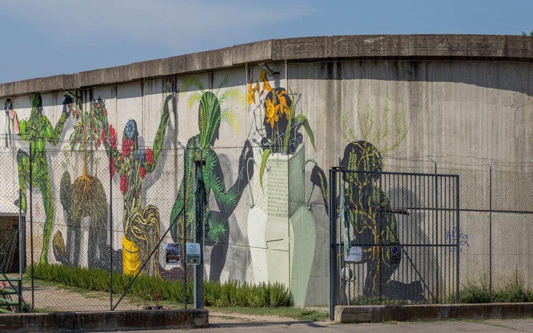 Empoli, street art sul muro della Rems. Saccardi: “Ponte con comunità locale” 
						 – www.toscana-notizie.it