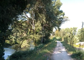 assessore Melasecche: giunti al taglio del nastro per la ciclopedonale fra Narni e Terni, tratto fondamentale del percorso Assisi-Roma – www.regione.umbria.it