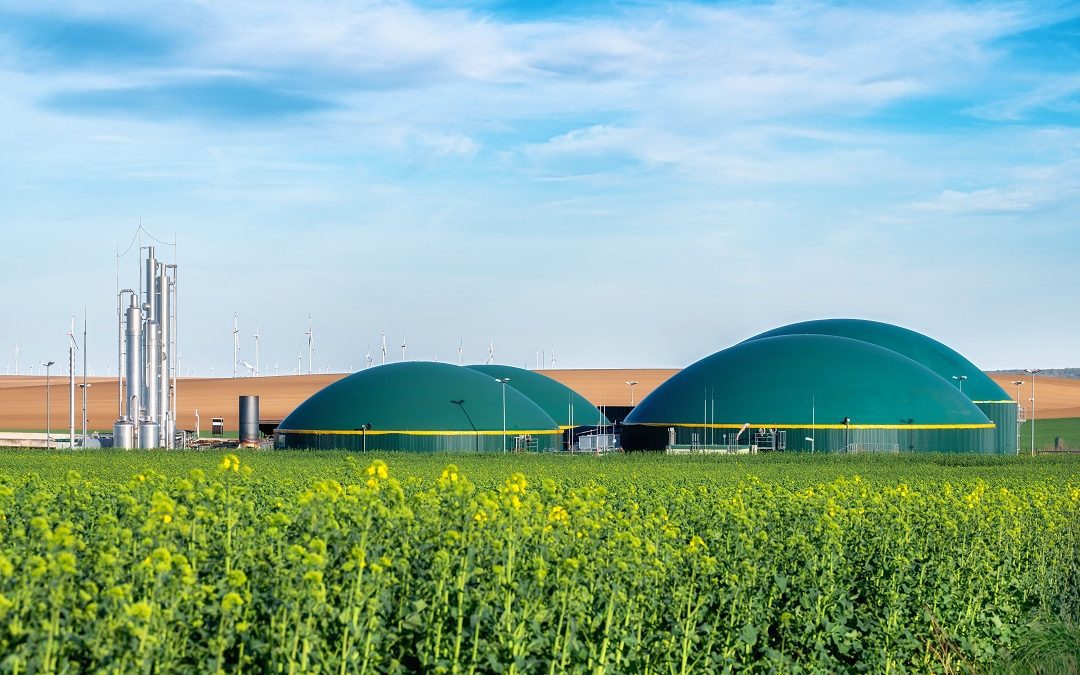 Ambiente, procedure più snelle per la conversione da biogas a biometano – www.lombardianotizie.online