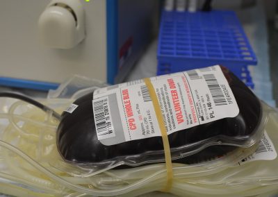 Sangue e plasmaderivati, Toscana capofila di progetto per gestione più efficiente
– www.toscana-notizie.it