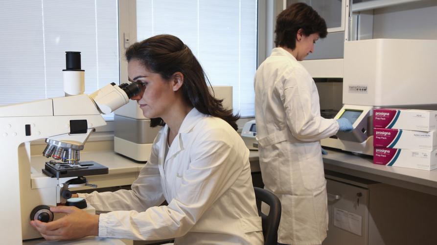 Pfas: a Spinetta Marengo nuova fase di monitoraggio su popolazione e ambiente
 – www.regione.piemonte.it