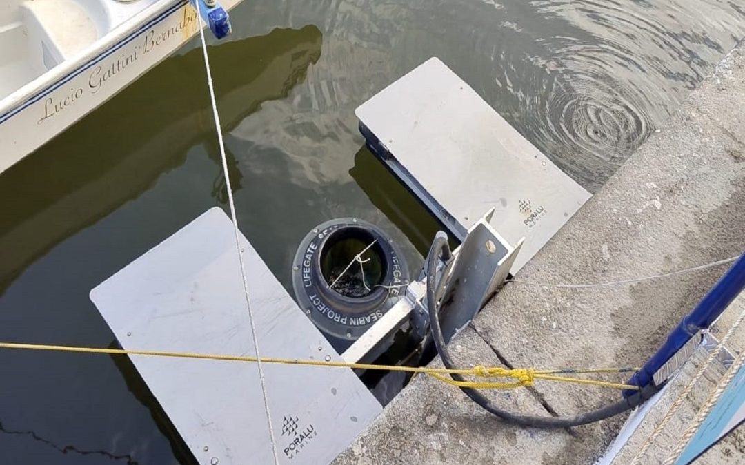 Seabin, il cestino galleggiante che smaltisce 500 kg di rifiuti all’anno – www.lombardianotizie.online