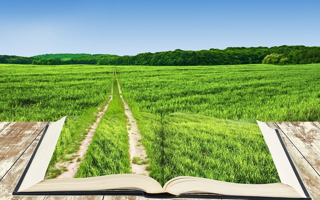 Forum sviluppo sostenibile, Maione e Beduschi: agricoltura è ambiente – www.lombardianotizie.online