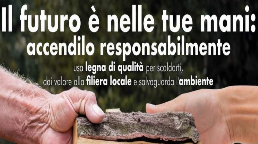 Come riscaldarsi con le biomasse legnose tutelando l’aria e l’ambiente
 – www.regione.piemonte.it