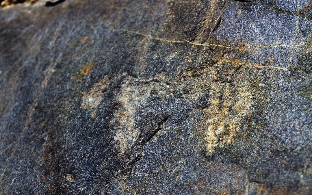 In Lombardia incisioni rupestri più alte d’Europa, scoperta in Valtellina – www.lombardianotizie.online