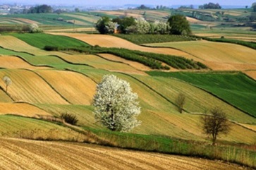 Avvio degli anticipi dei pagamenti per le domande a superficie annualità 2024 – www.regione.umbria.it