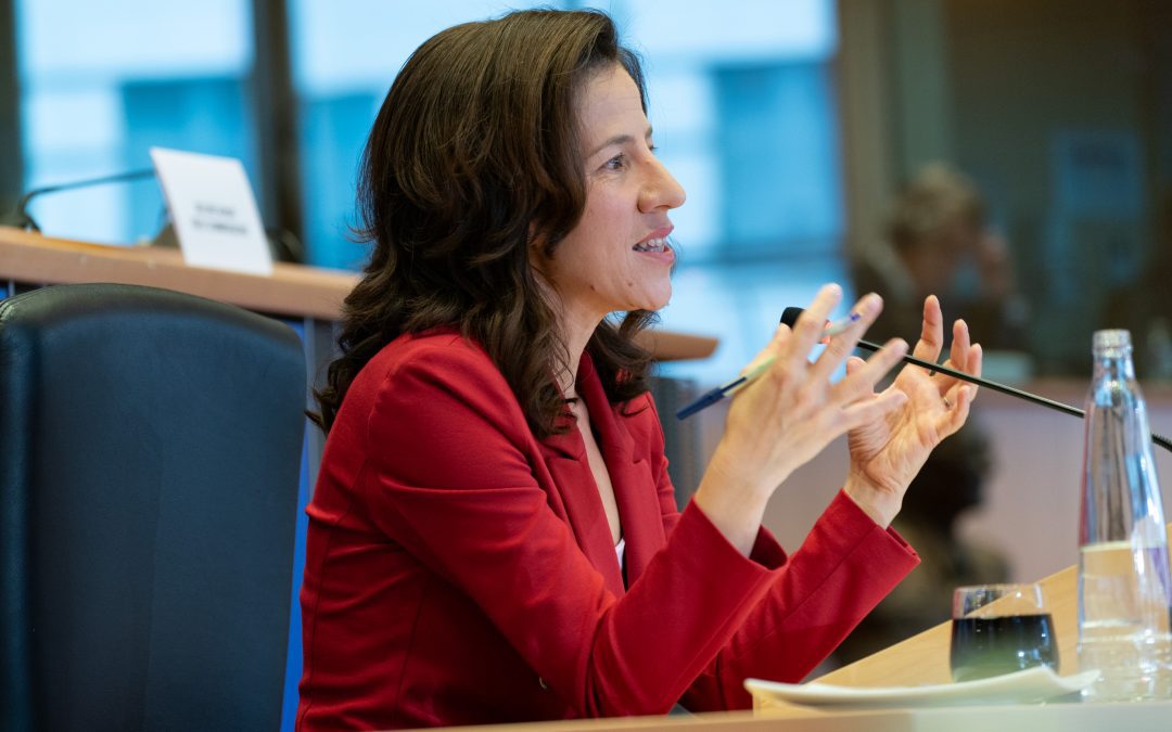 Hearing of Vice-President-designate Roxana Mînzatu | News – www.europarl.europa.eu