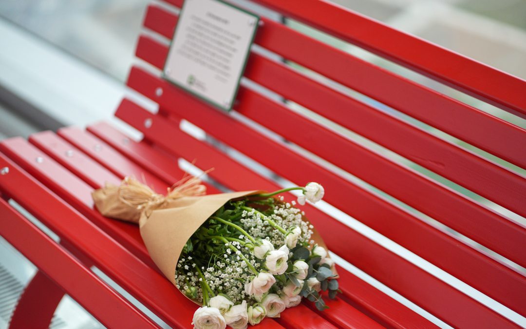 Fiori bianchi panchina rossa, Fontana ricorda vittime di violenza – www.lombardianotizie.online