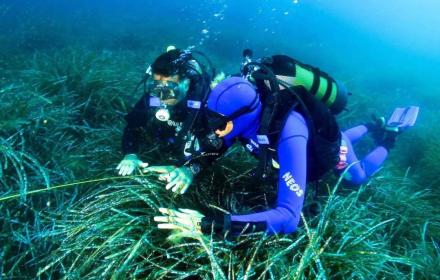 Beni culturali, siti archeologici subacquei anche per i non vedenti.
