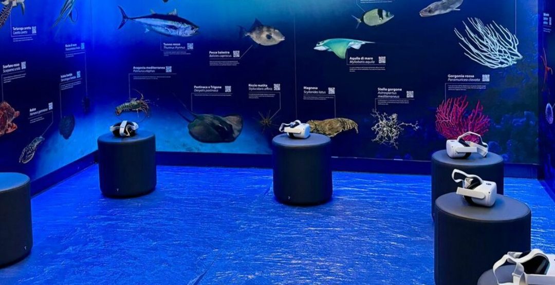 Inaugurata a Ostia la Stanza del Mare – VisitLazio – www.visitlazio.com