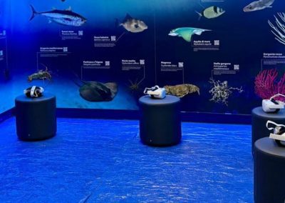 Inaugurata a Ostia la Stanza del Mare – VisitLazio – www.visitlazio.com