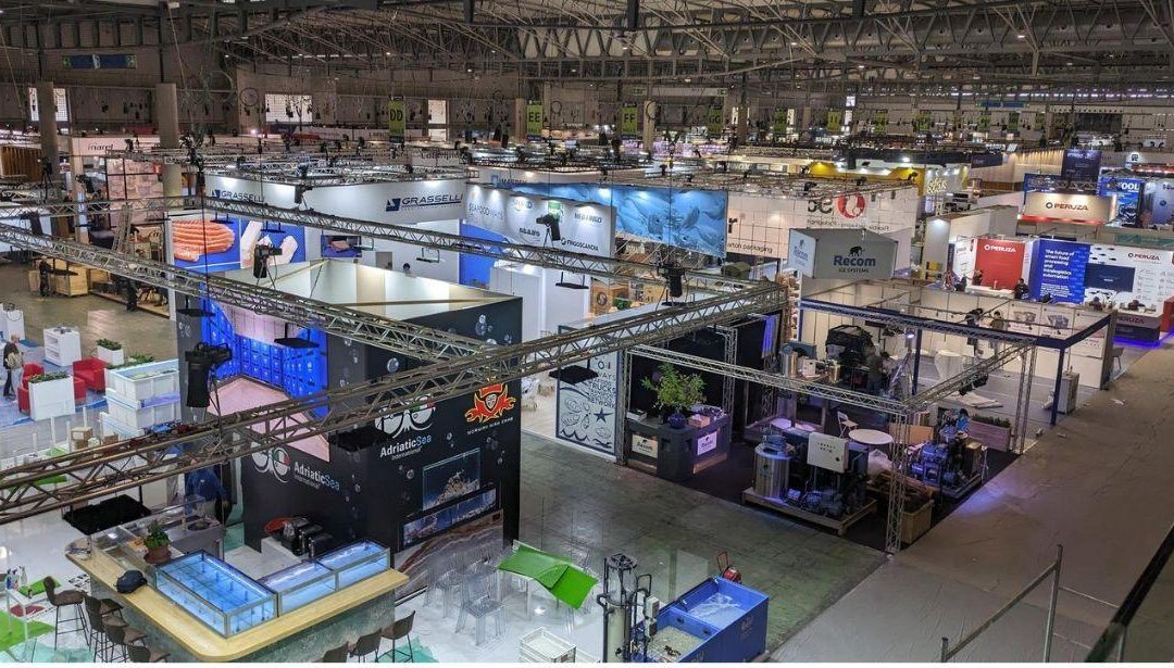 Avviso Seafood Expo Global 2025 Barcellona – Adesione Operatori – www.lazioeuropa.it