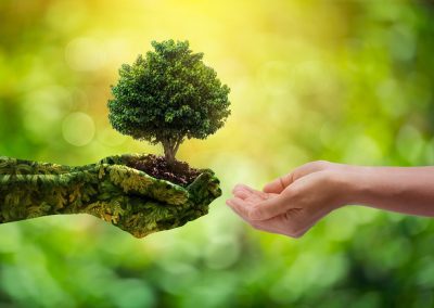 verso una legge regionale sul clima – www.lombardianotizie.online