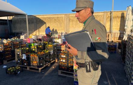 Siracusa, controlli del Nas del Corpo forestale: sequestrati 2.800 chili di prodotti