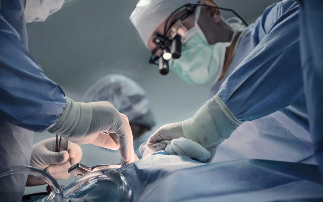 Donazione organi e tessuti, numeri in crescita in Lombardia – www.lombardianotizie.online