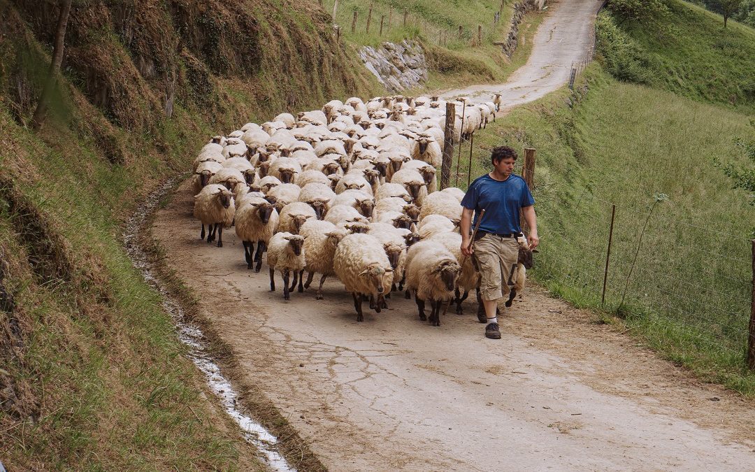 ‘Il Cammino dei Pastori’, mostra con storie di vita e il paesaggio lombardo – www.lombardianotizie.online