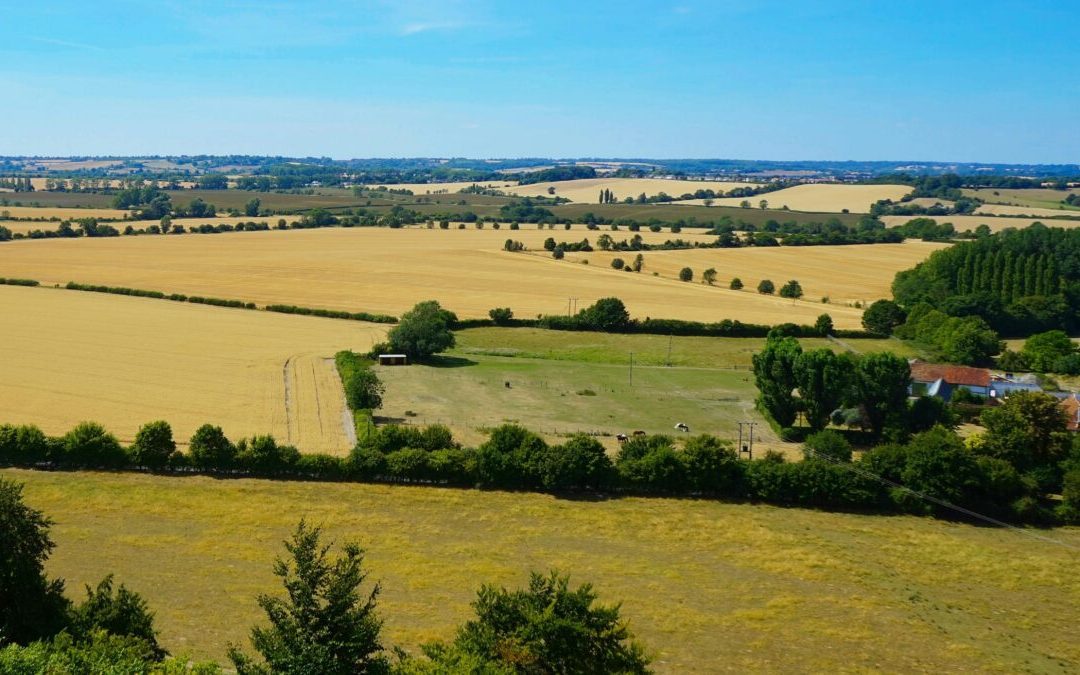 CSR 2023-2027 Lazio, Intervento SRD06: scadenza prorogata – www.lazioeuropa.it