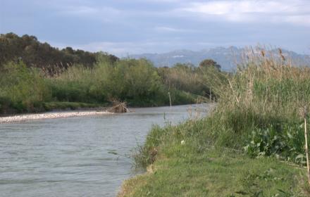 Siccità, due motopompe nel bacino del fiume Verdura per irrigare gli agrumi di Ribera