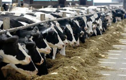 Siccità, 17,5 milioni per quasi tremila interventi a sostegno di agricoltura e zootecnia
