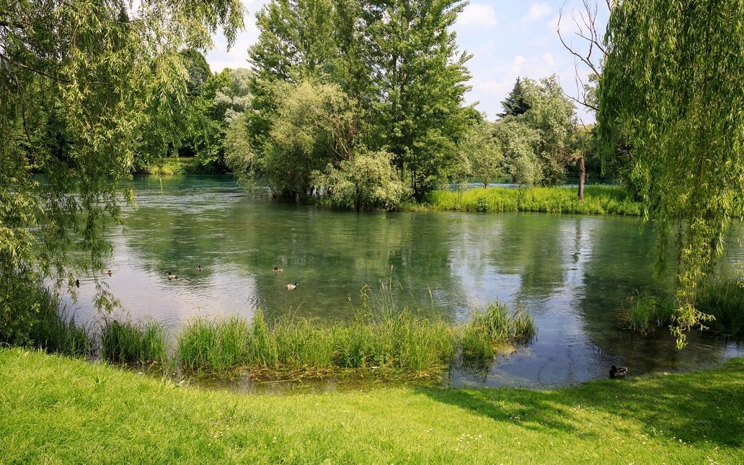 Intesa Microsoft compensazioni ecologiche in insediamenti azienda – www.lombardianotizie.online